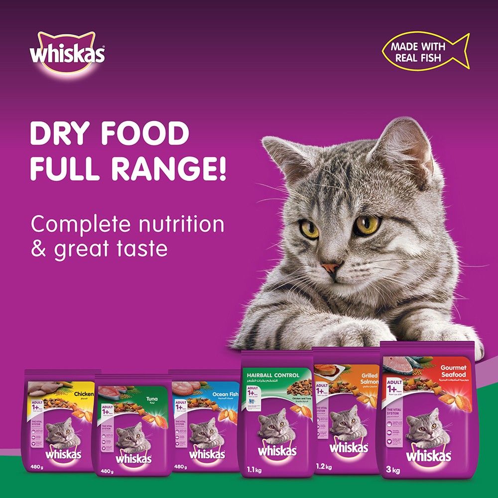 Whiskas tuna hotsell dry food