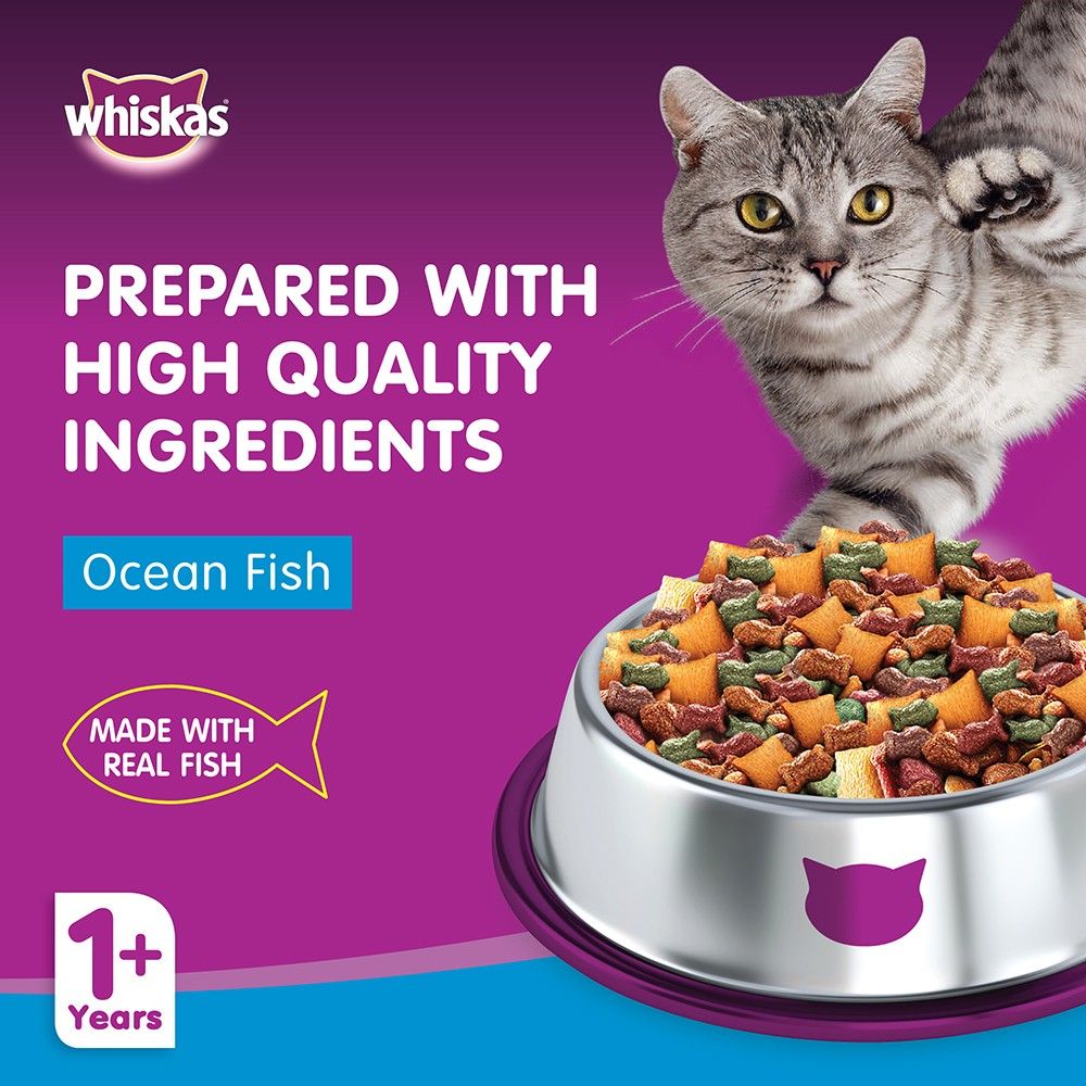 Whiskas ocean fish outlet dry food