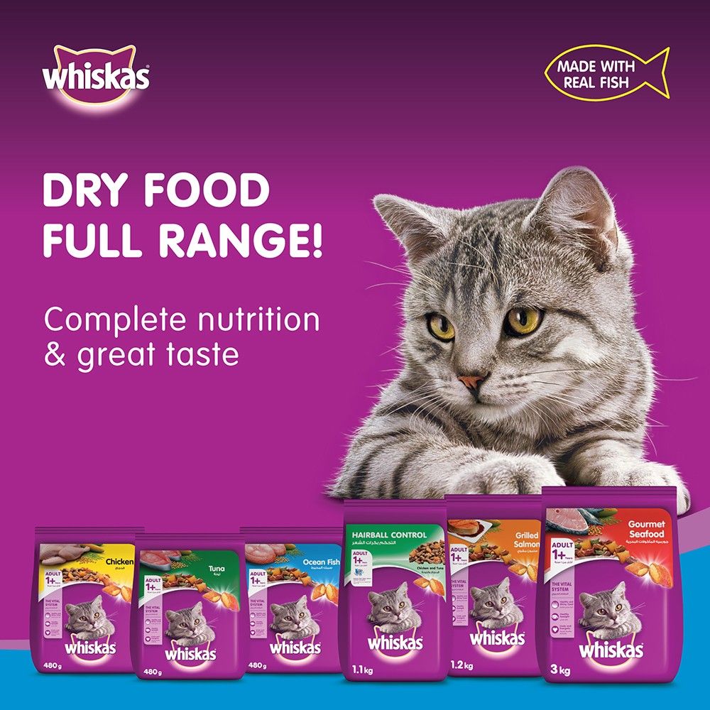 Buy Whiskas Ocean Fish Dry Food Bag 480g Online in Kuwait