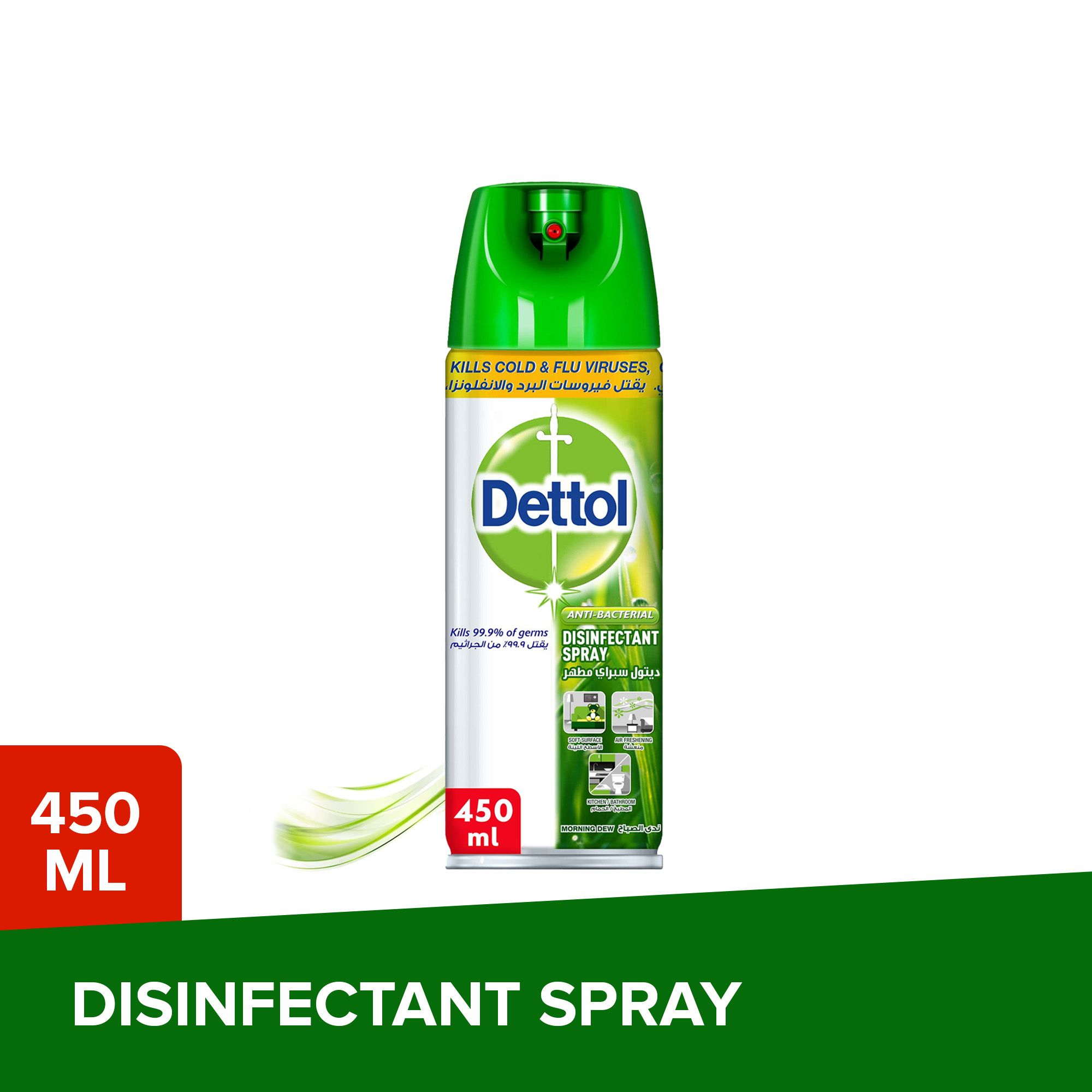 Buy Dettol Morning Dew Antibacterial All In One Disinfectant Spray 450ml Online In Uae 6635