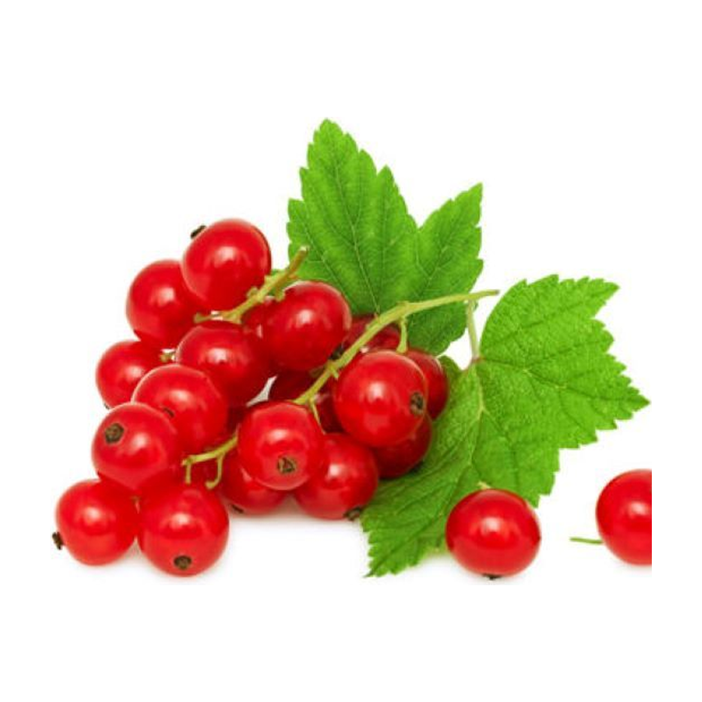 Buy Red Currant Netherlands, 125g Online in UAE | Talabat UAE