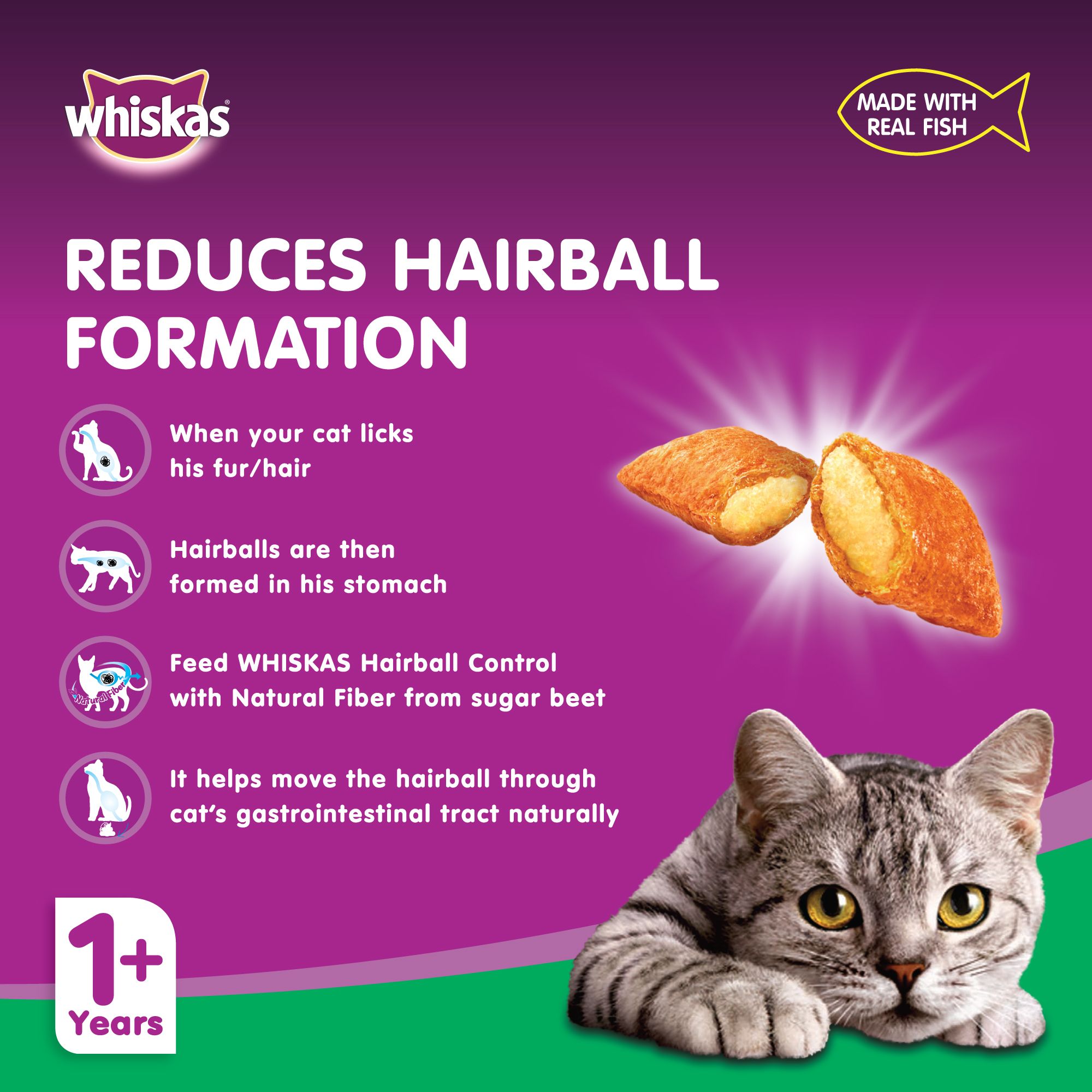 Buy Whiskas Chicken Tuna Hairball Control Dry Cat Food Bag 1.1kg Online in Bahrain Talabat Bahrain