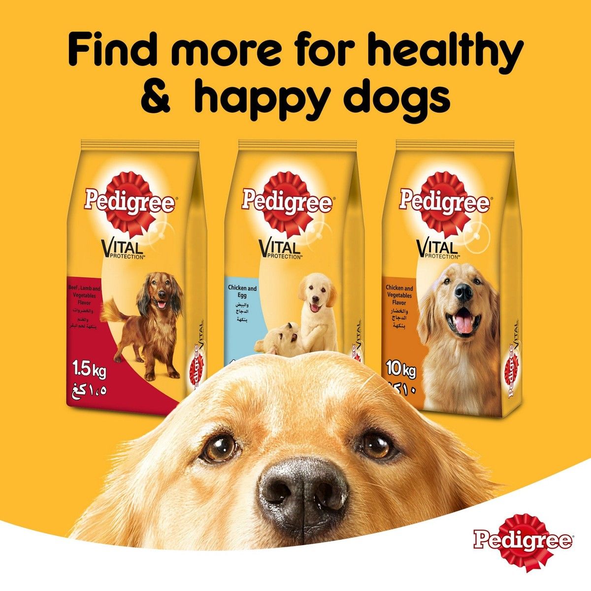 Pedigree 10kg outlet online