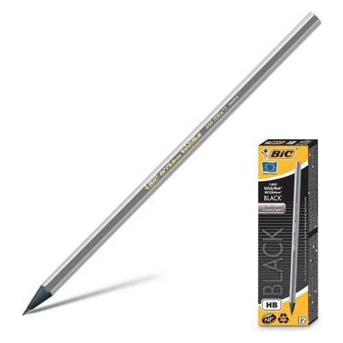 Buy BIC Evolution HB Pencils Without Eraser (Pack of 12) Black Online