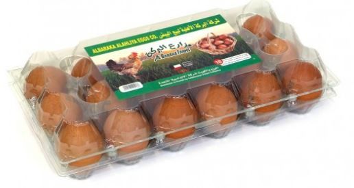 Buy Rubbermaid - Egg Keeper-red Cover, 2 Pk, Holds 20 Jumbo Eggs, Clear,  Plastic Online at desertcartKUWAIT