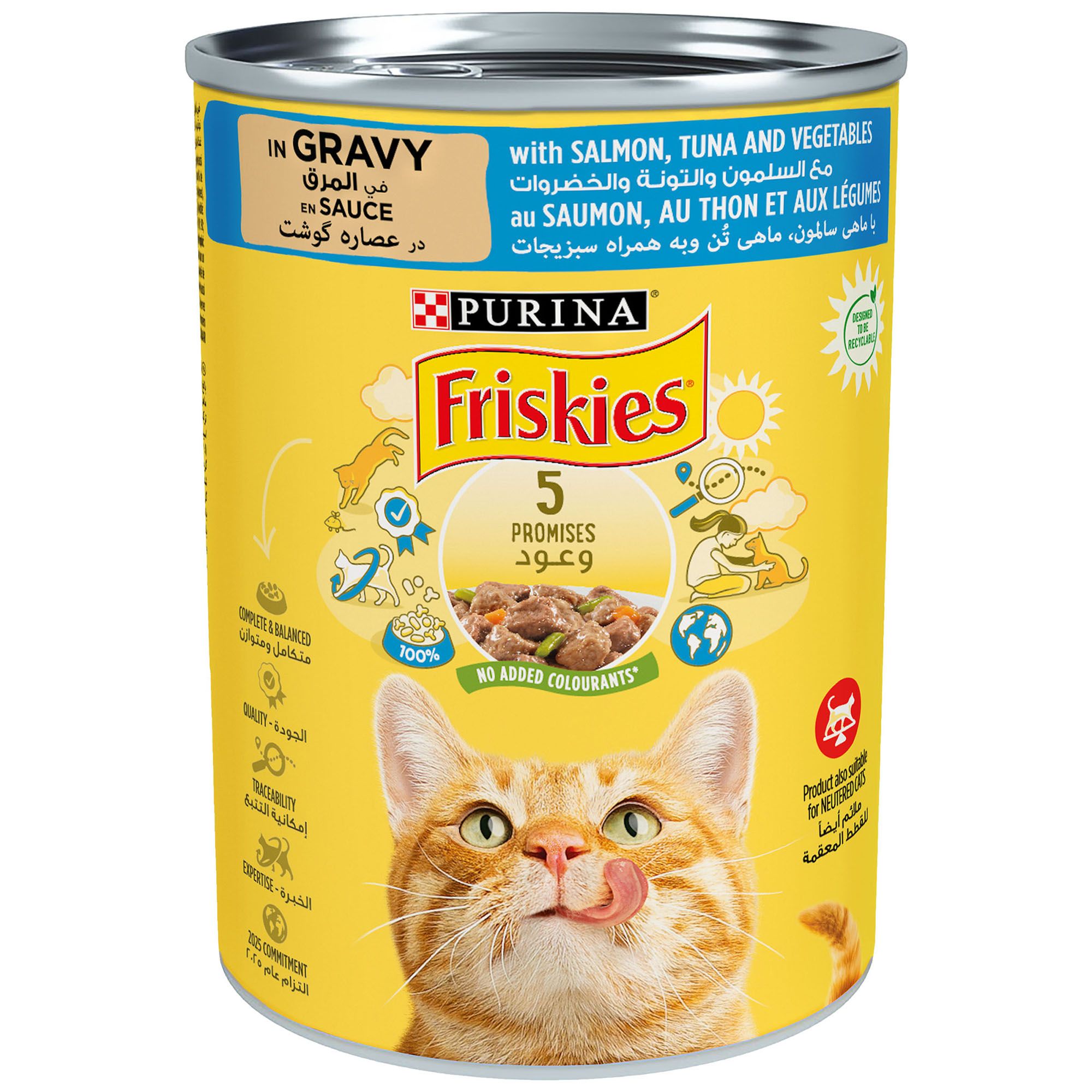 Buy Purina Friskies Salmon Tuna And Vegetables In Gravy Wet Cat Food