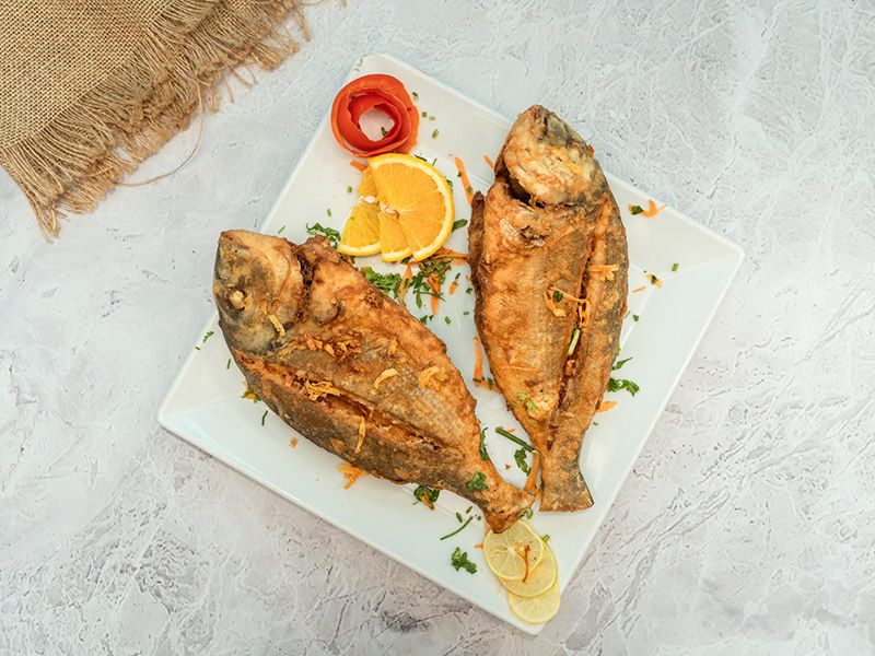 Sea Bream
