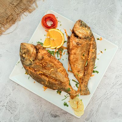 Sea Bream