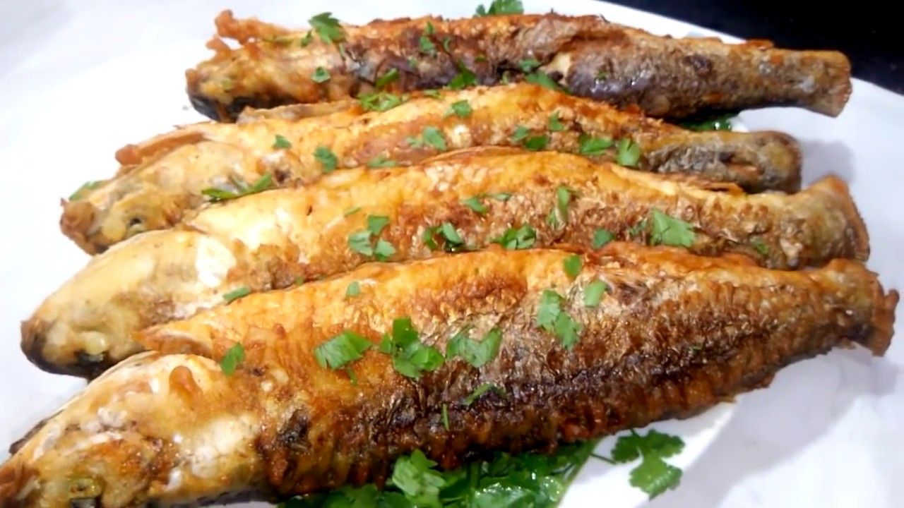 Grey Mullet Fish