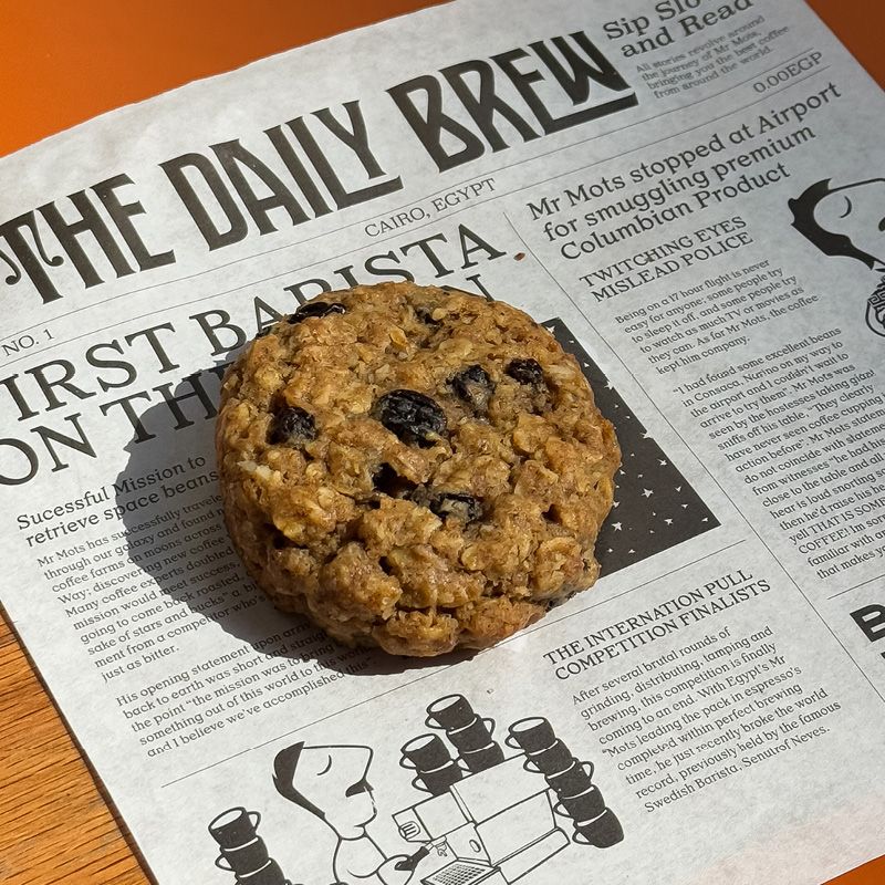 Oat Raisin Cookie