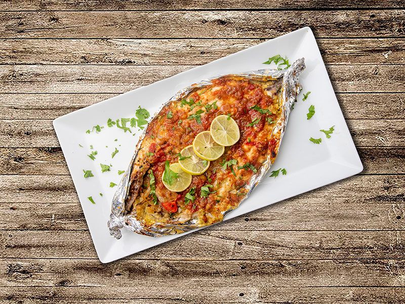 Croaker Fish