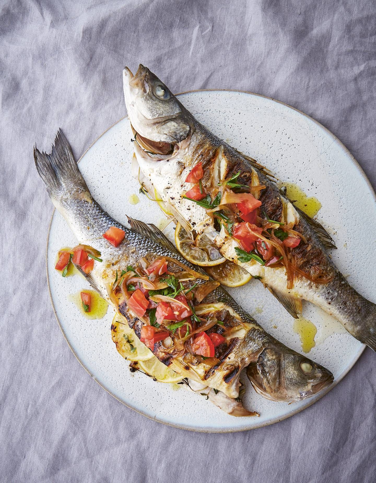 Sea Bass Fish