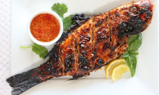 Sea Bream Fillet Fish