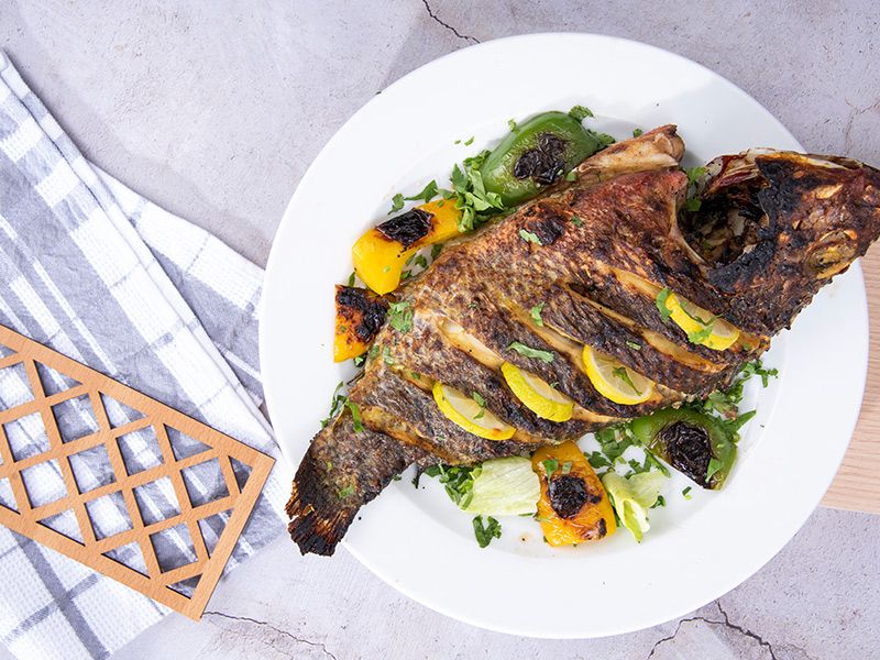 Tilapia Fish