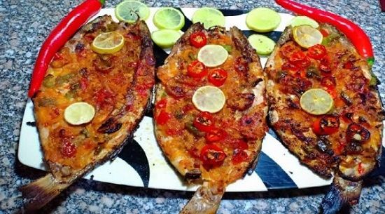 Singary Tilapia Fish