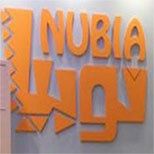Fruits Yogurt