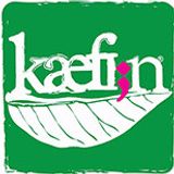 Halloumi Cheese Roll