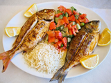 Tilapia meal