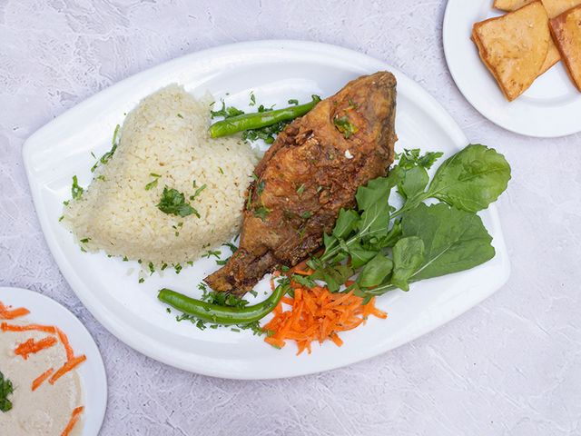 Tilapia Meal Offer