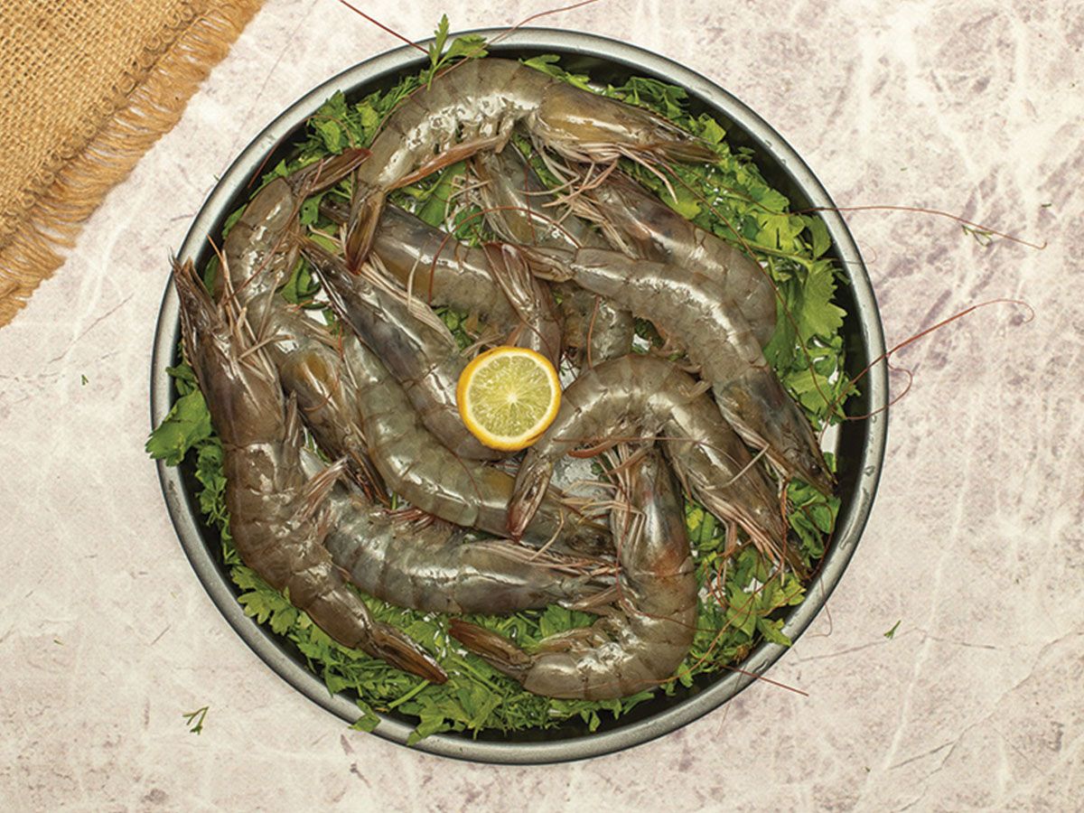 Hosso Shrimp