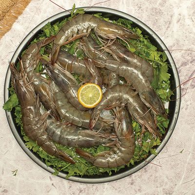 Jumbo Shrimp