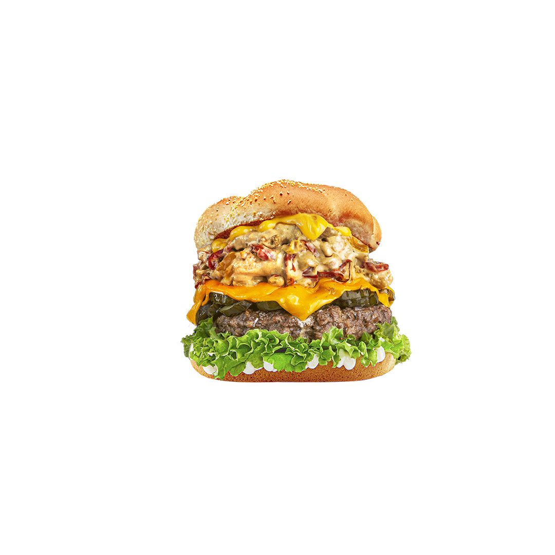 MIX CHICKEN BURGER