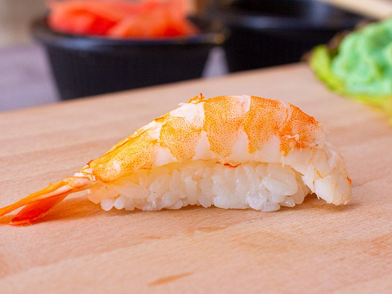 Shrimp Nigiri
