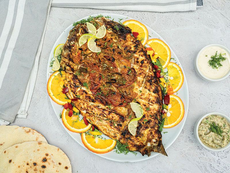 Singary Sea Bass Fish