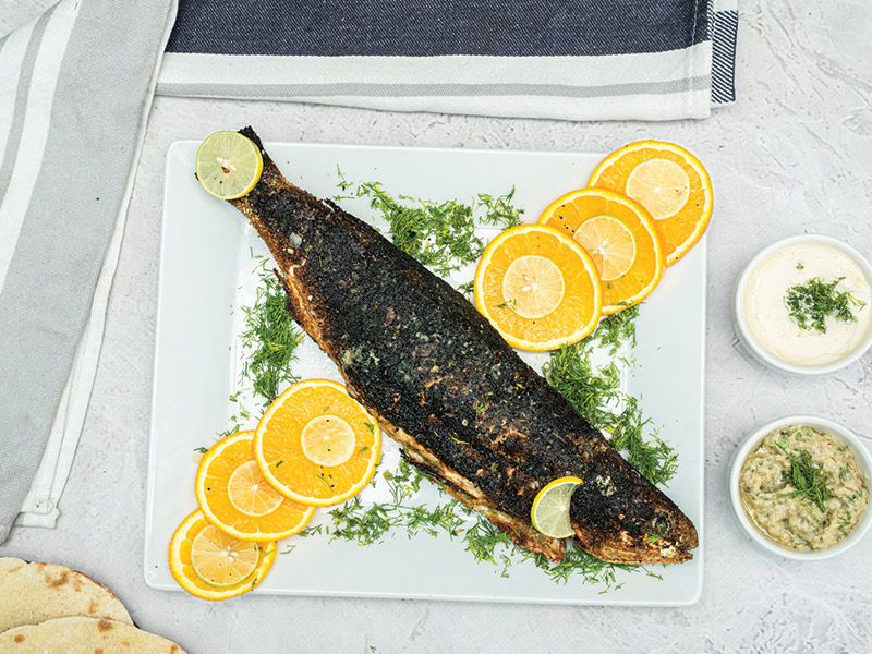 Grey Mullet Fish