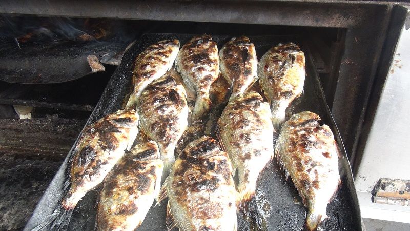 Grilled Tilapia Fish With Bran