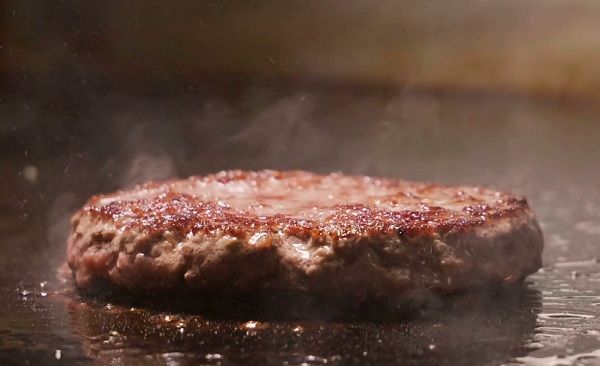 Beef Burger Piece