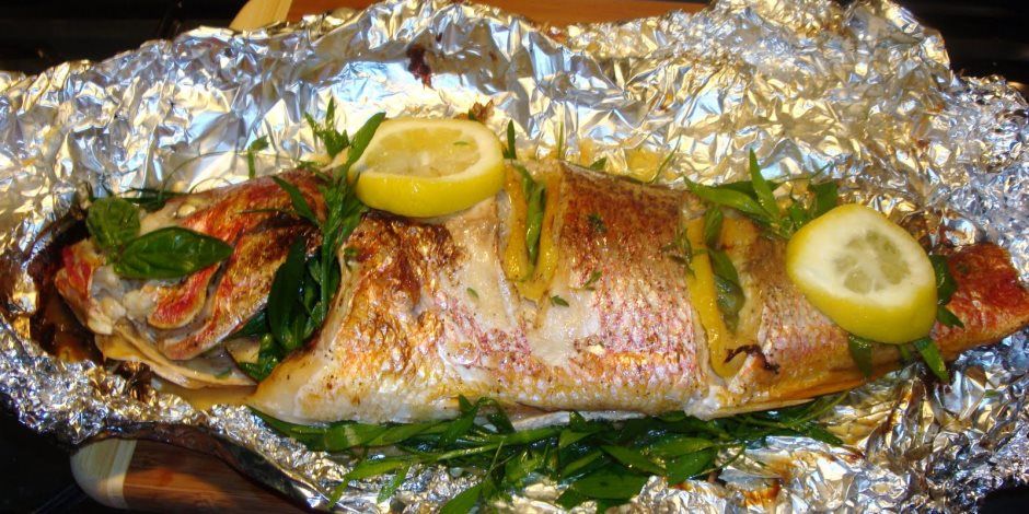 Grey Mullet Fish Meal