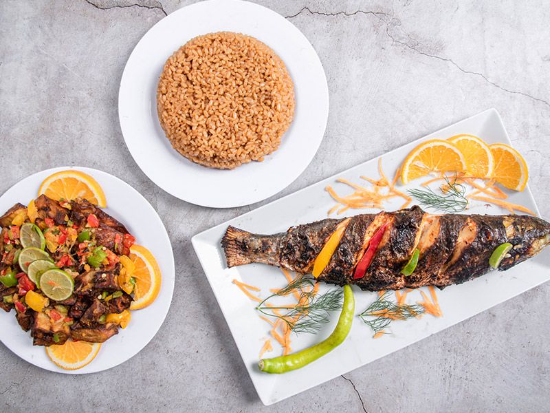 Grey Mullet Fish Meal