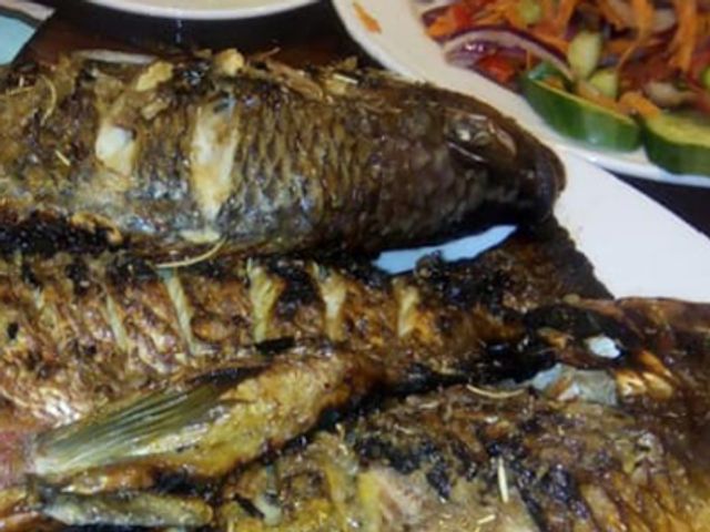 Tilapia Fish
