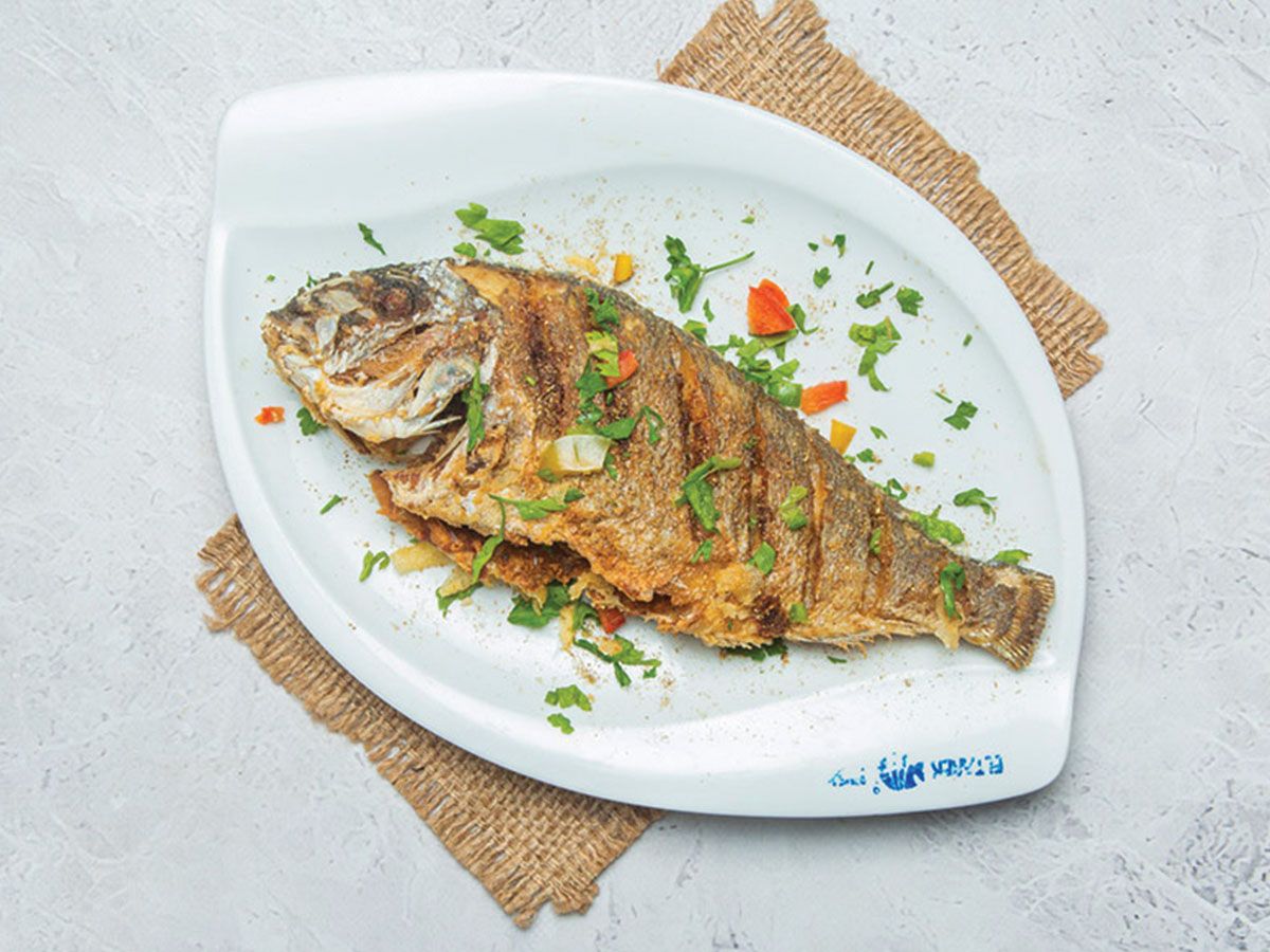 Gilthead Bream Fish