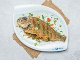 Sea Bream Fish