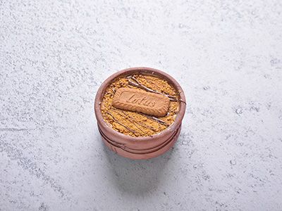 Lotus Casserole