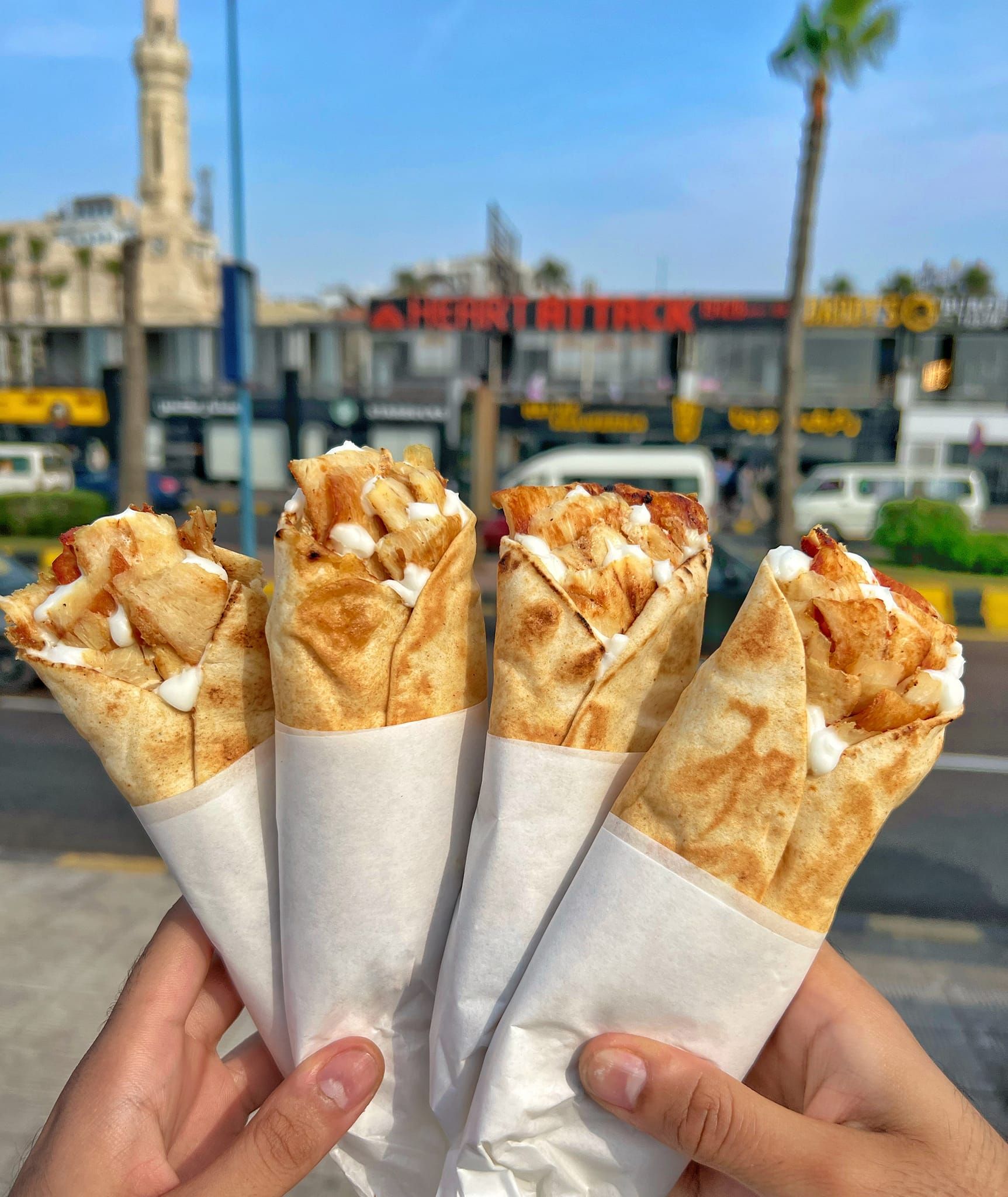 Chicken Shawarma with Syrian Mozzarella