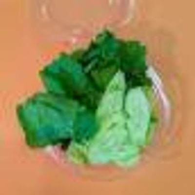 Salad Cucumber and Arugula
