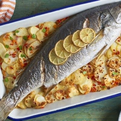 Sea Bass Fish