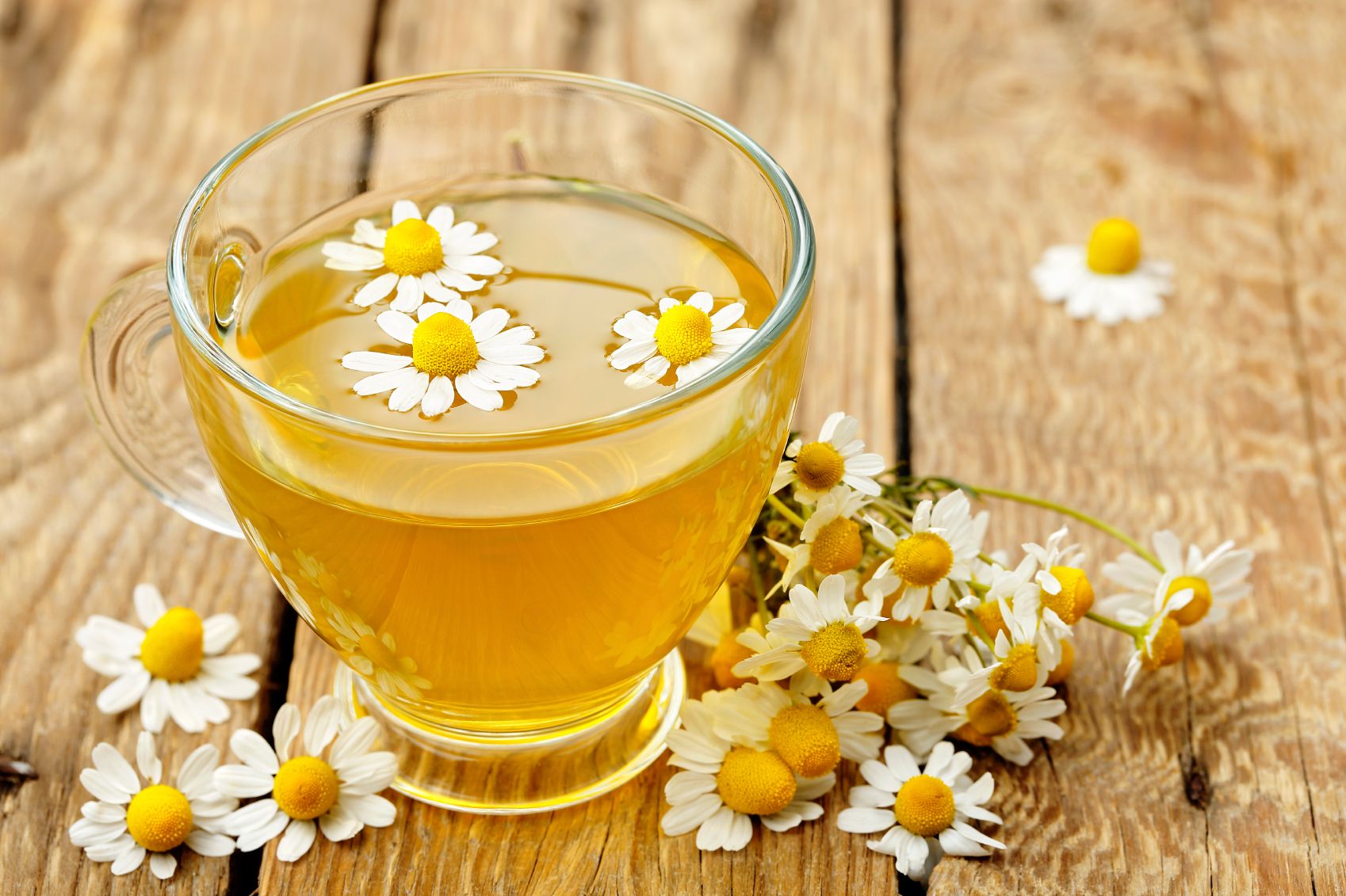 Anise