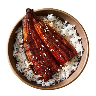 Eel Rice Bowl