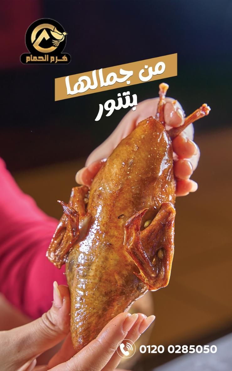 Pigeon stuffed with rice and minced meat
