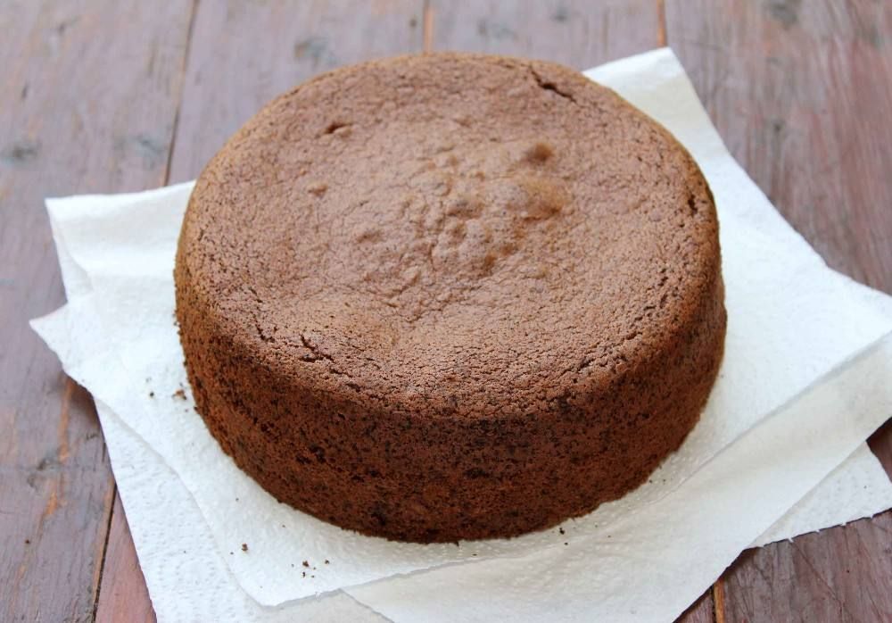 Sponge Chocolate Powder