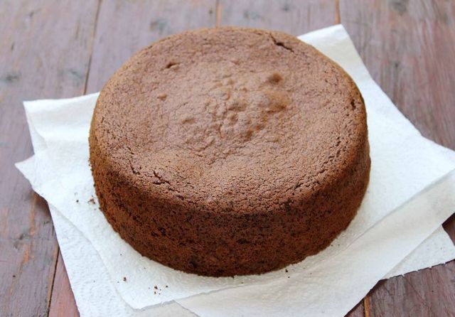 Sponge Chocolate Powder