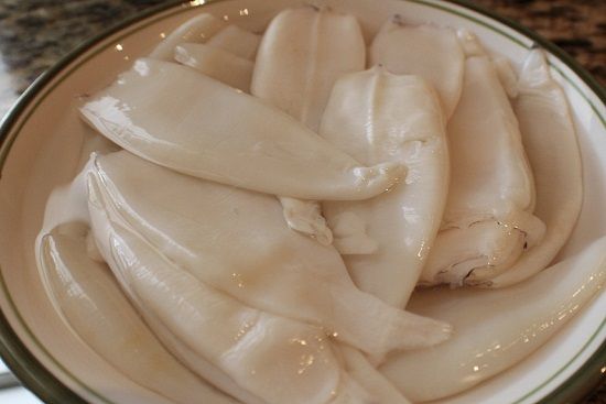 Kilo Squid