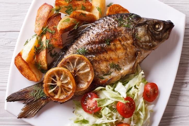 Gilthead Bream Fish Meal