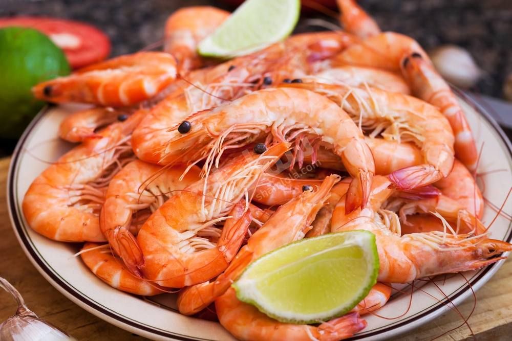 Large Shrimp