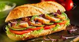 Chicken With Basil And Parmesan Cheese Sandwich
