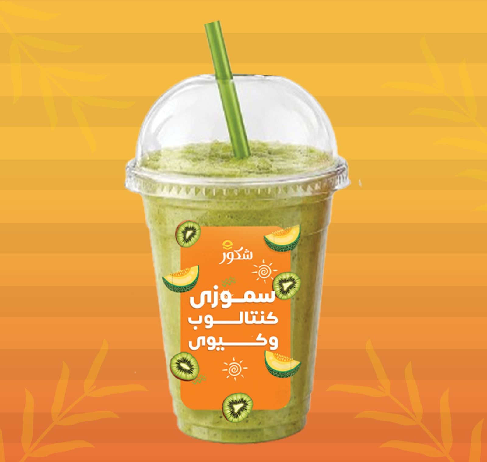 Cantaloupe Kiwi Smoothie